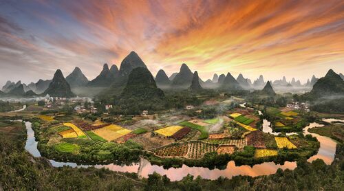 Peaks forest - DANIEL METZ - Photograph