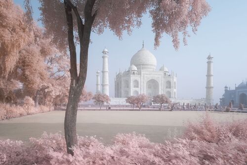 Taj Mahal in Infrared - David Clapp - Photographie