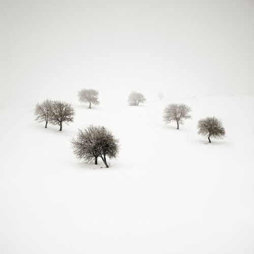 Dancefloor - EBRU SIDAR - Kunstfoto