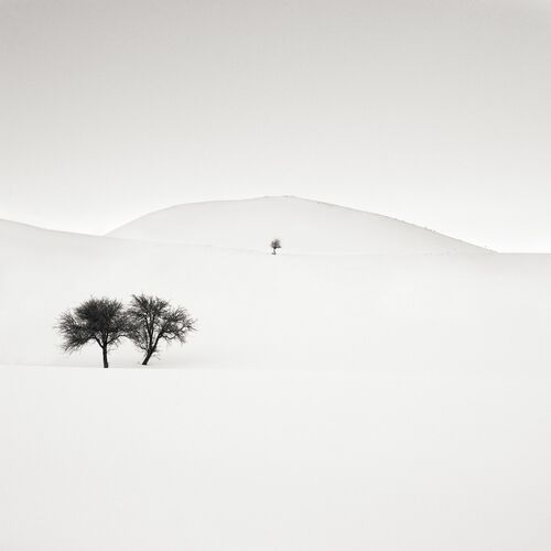 Don't Forget Us - EBRU SIDAR - Photograph