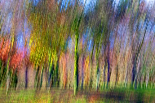 Autumn in memory - Fan Li - Photographie