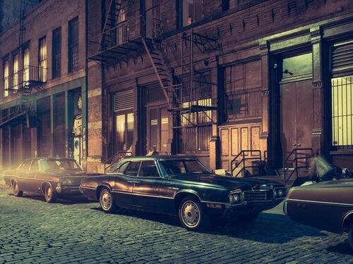 THE QUEEN OF NEW YORK - FRANCK BOHBOT - Photograph