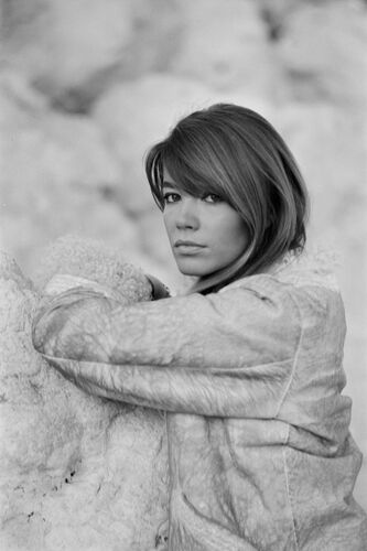 Francoise Hardy, 1966 -  GAMMA AGENCY - Photograph