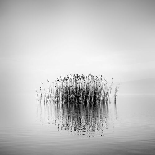 ECHOING SPACES - GEORGE DIGALAKIS - Fotografía