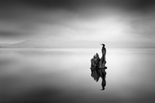 SOLITARY LIFE SOLITARY LIFE - GEORGE DIGALAKIS - Fotografia
