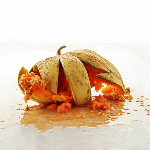 FOOD WASTE WATERMELON - GILDAS PARE - Photograph