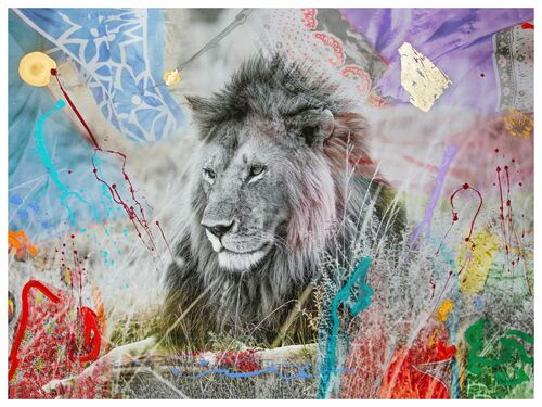 SIMBA 9 -  I'M NOT A TROPHY - Kunstfoto