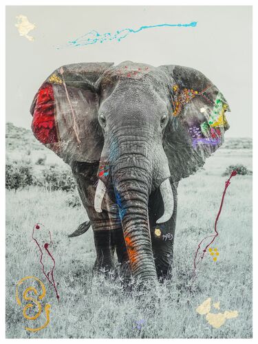 TEMBO 9 -  I'M NOT A TROPHY - Kunstfoto