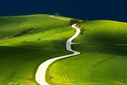 PATH OF LIFE - JANEK SEDLAR - Fotografie