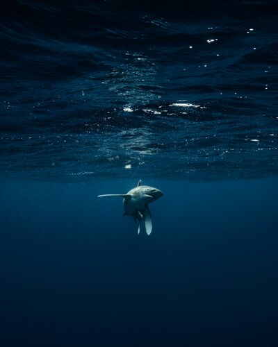 THE TURN THE TURN - JOHN KOWITZ - Fotografie