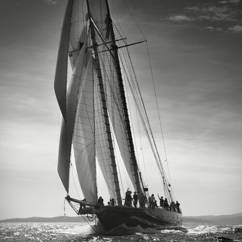 Mariette, Saint-Tropez - JONATHAN CHRITCHLEY - Photograph