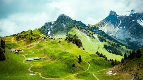 SCHYNIGE PLATTE - Jörg Wanderer - Photograph