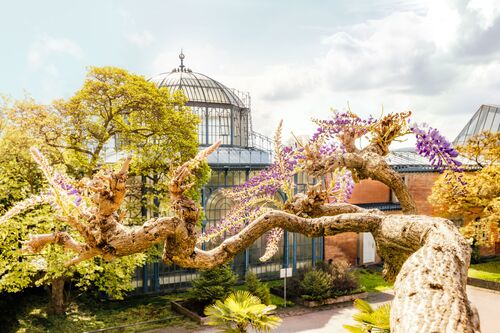 Wilhelma Stuttgart 1 - Jörg Wanderer - Kunstfoto