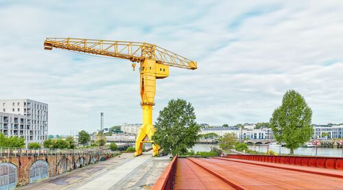 LA GRUE TITAN JAUNE - JULES VALENTIN - Fotografia