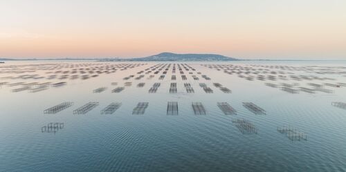 Une matinée sur Thau - JULES VALENTIN - Kunstfoto