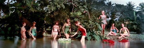 Chromspun swimsuits, 1956 Chromspun swimsuits, 1956 - Larry Guetersloh COLORAMA Display Collection - Photograph