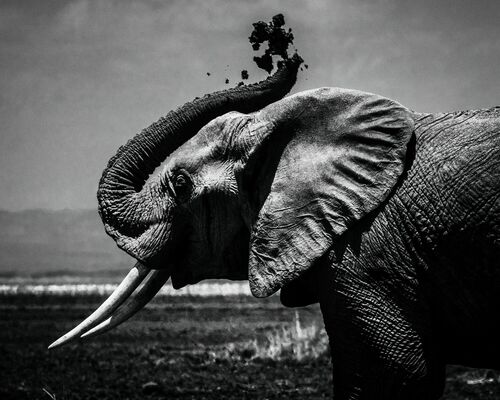 African shower - LAURENT BAHEUX - Fotografia