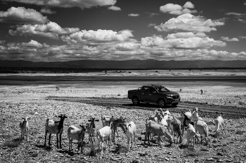 L'allure Kenya 8 - LAURENT BAHEUX - Photographie