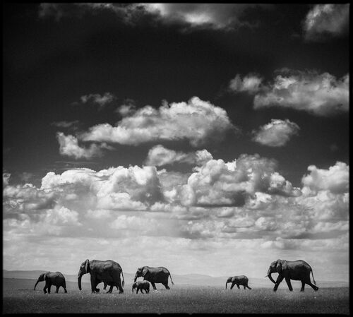 Under the Clouds I - LAURENT BAHEUX - Fotografia