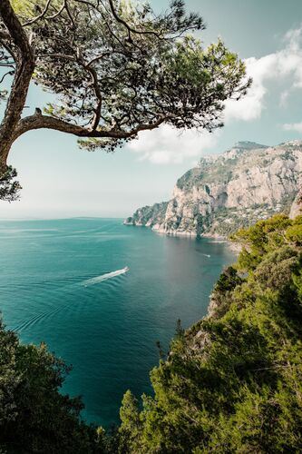 CAPRI-PUNTA DI MULO -  LDKPHOTO - Photograph