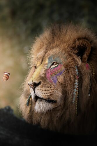 La Grandeur -  LES ANIMAUX IMAGINAIRES - Fotografía