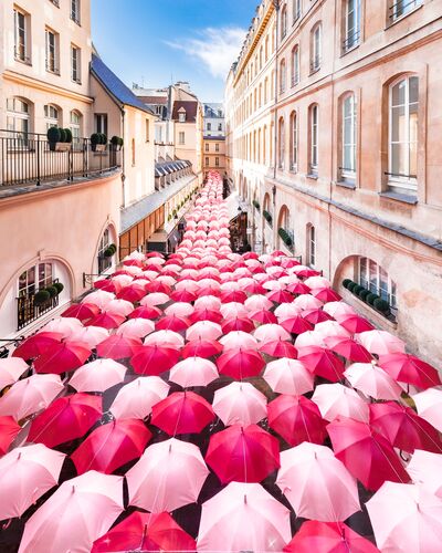 La vie en rose - Loic LAGARDE - Fotografie