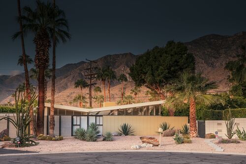 ICONIC PALM-SPRINGS - LUDWIG FAVRE - Photograph