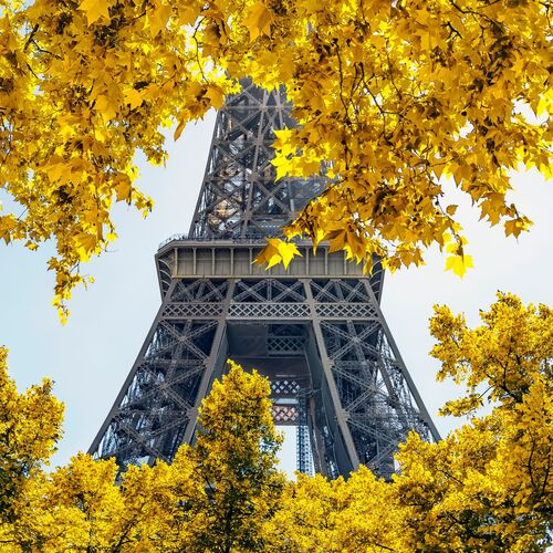 Autumn in Paris - MANJIK PICTURES - Kunstfoto