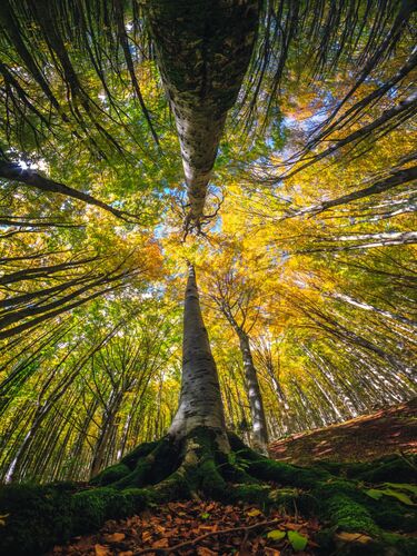 MOTHER NATURE - MANUELO BECECCO - Kunstfoto