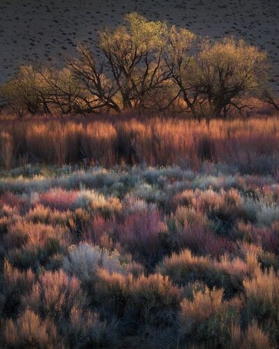 DANCING COLORS - MARC ADAMUS - Kunstfoto