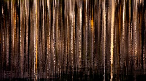 Distortion Jefferson Wilderness Oregon - MARC ADAMUS - Photograph