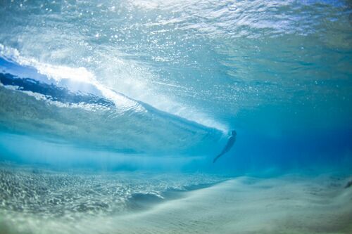 Summer - MARK TIPPLE - Photograph