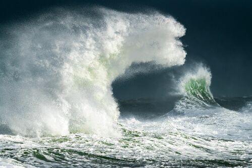 L OURS ET LA VAGUE - MATHIEU RIVRIN - Kunstfoto