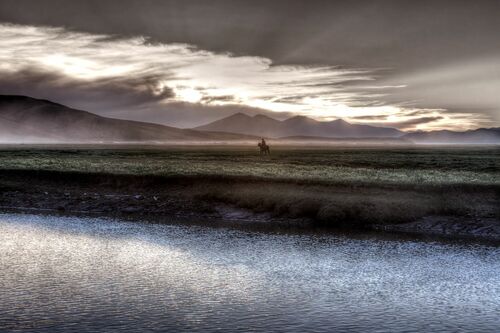 CAVALIER AU CREPUSCULE TIBET - MATTHIEU RICARD - Photographie