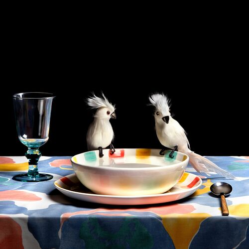 COCKATOO SOUP - MIGUEL VALLINAS - Fotografie