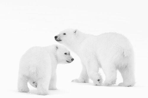 BROTHER AND SISTER - NOLWENN HADET - Kunstfoto