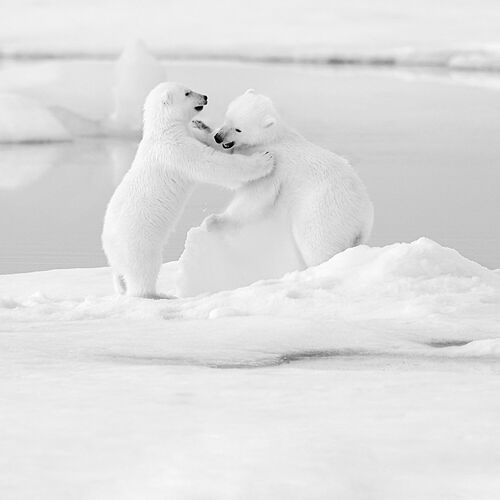 CLOSE TO ME - NOLWENN HADET - Fotografie