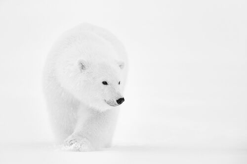 LOOKING FOR MUM - NOLWENN HADET - Fotografía