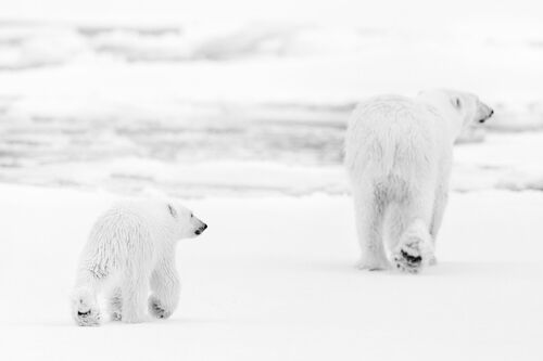 So long - NOLWENN HADET - Fotografia