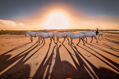 L'heure dorée - Olivier ANRIGO - Fotografía