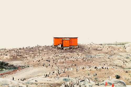 Ma cabane au pôle sud  - Olivier GOY - Photograph