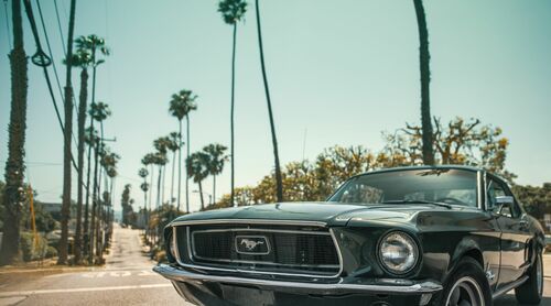 BULLITT - OLIVIER LAVIELLE - Fotografía