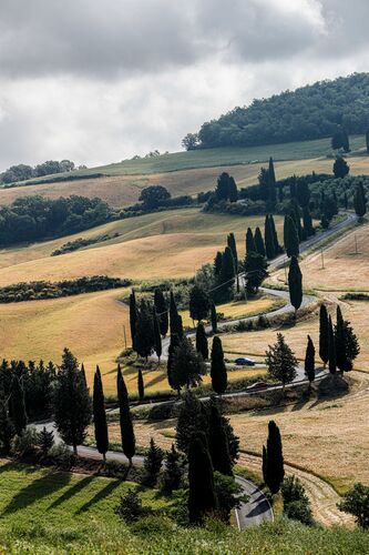 L'Allure Val d'Orcia 1 - OLIVIERO TOSCANI - Photographie