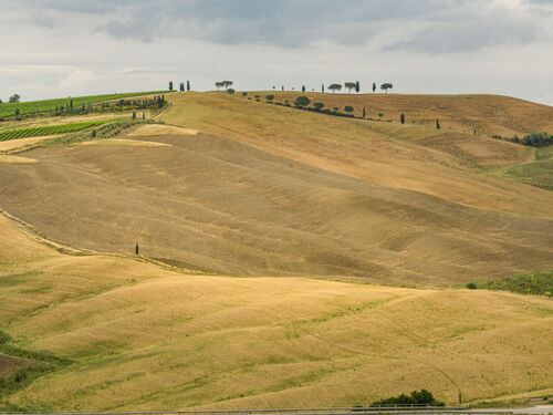 L'Allure Val d'Orcia 15 - OLIVIERO TOSCANI - Photograph