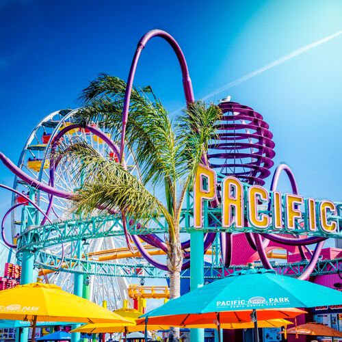 Seagull at the Pacific Park Santa Monica Pier - Philippe AVIGNON - Photographie