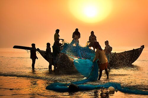 Day  begins  - Pranab Basak - Fotografía