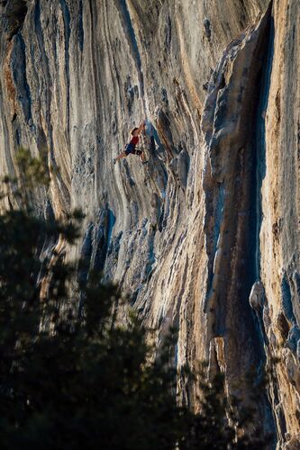 Sur le dos des géants - Raphael Fourau - Photographie