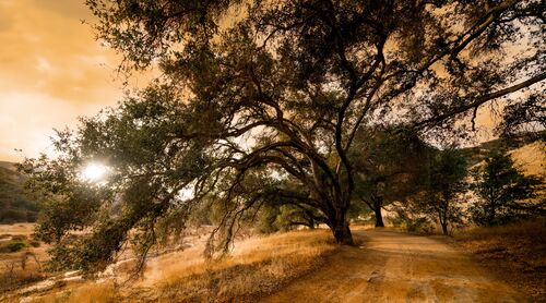 LA BALADE DE MALIBU - SERGE RAMELLI - Photograph