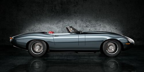 The eagle speedster  - STEPHANE GIL - Fotografía