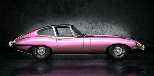The pink Panther - STEPHANE GIL - Photograph